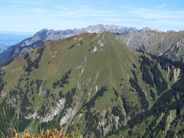 Bild_22_comp.JPG