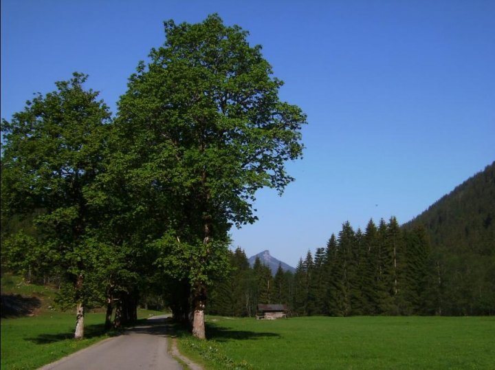 Oytalwanderung Bild02paint.jpg