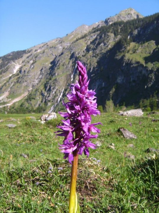 Oytalwanderung Bild06paint.jpg
