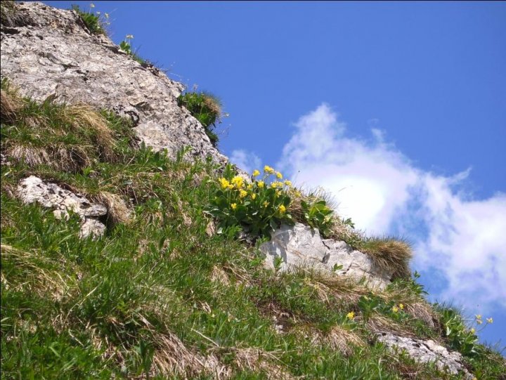 Oytalwanderung Bild36paint.jpg
