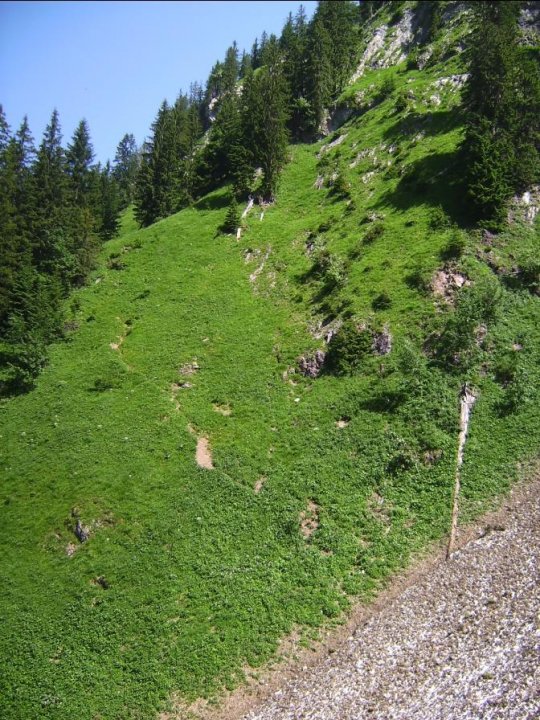 Wegverlauf zum Westgipfelpaint.jpg