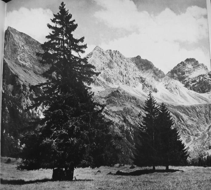 22 Heimhuber - Im Oytalpaint.jpg