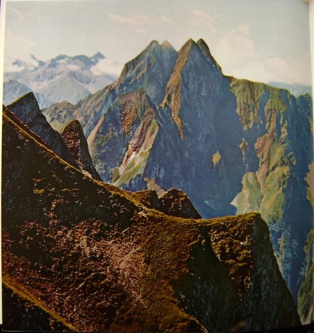 23 Heimhuber - Die Hohen Gaengepaint.jpg