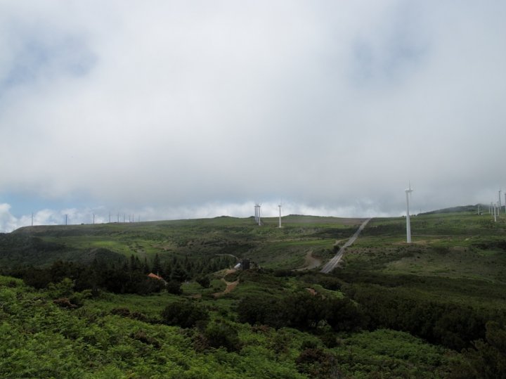 Madeira_045.jpg