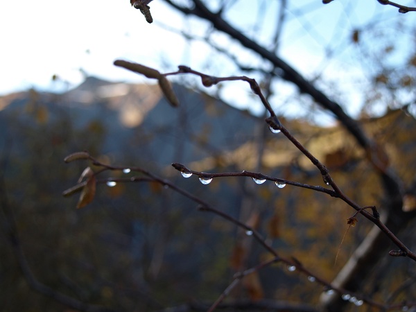 PA119357.JPG
