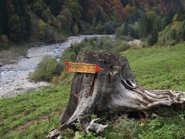 PA140638.JPG