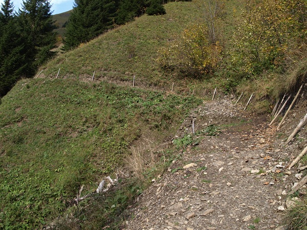 PA140629.JPG