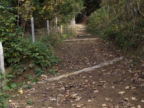 PA140608.JPG