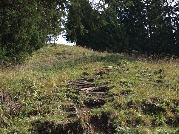 PA140590.JPG