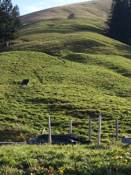 PA149976.JPG