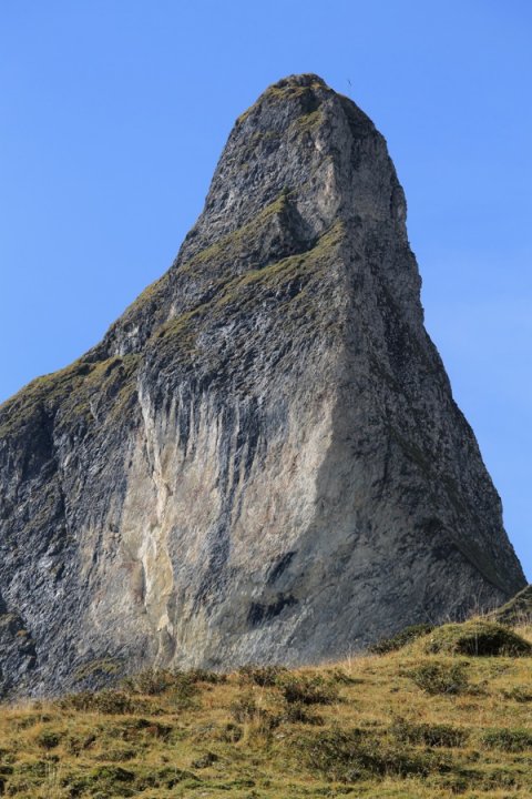 14.JPG