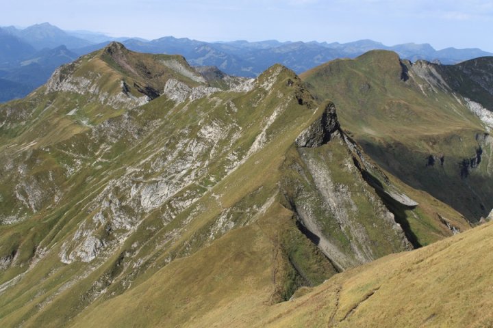 21.JPG