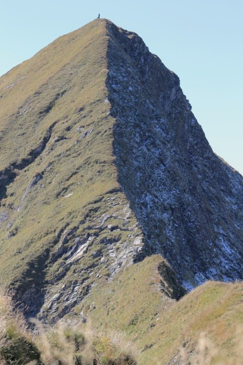 29.JPG