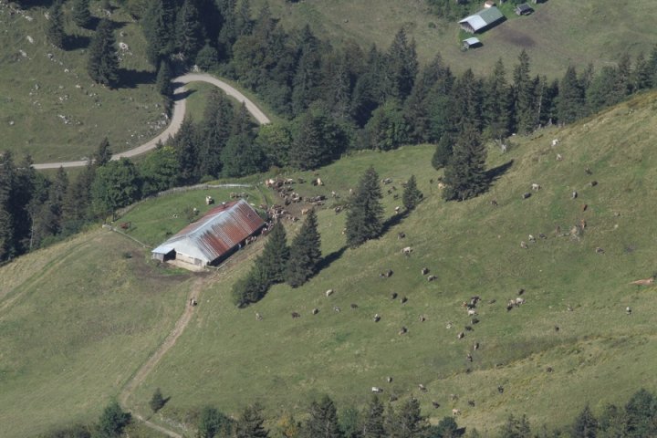 39.JPG