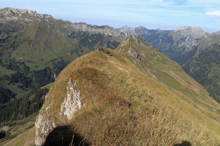 56.JPG