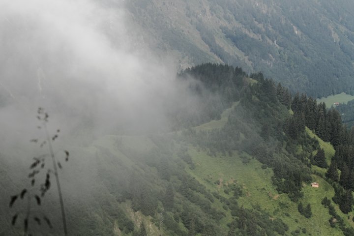 12_IMG_2403.JPG