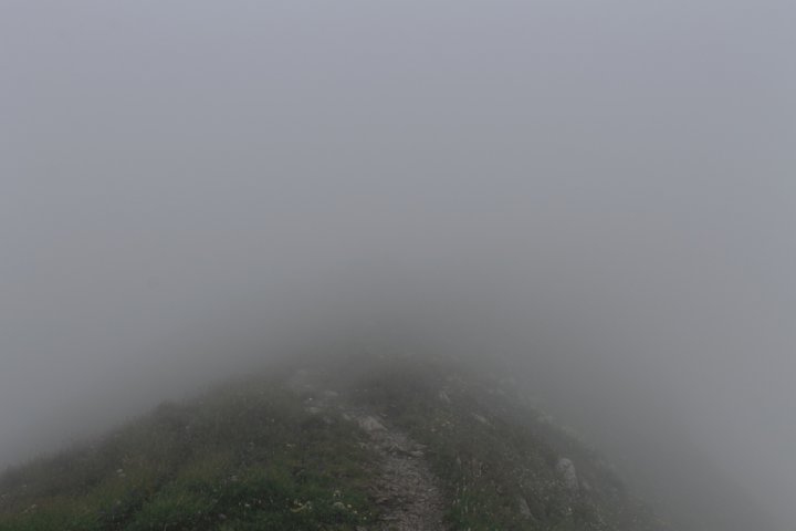 44_IMG_2723.JPG