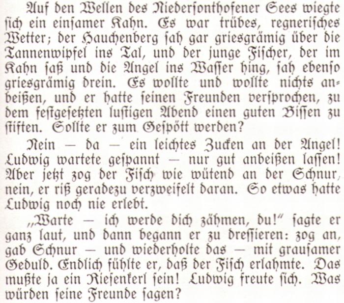 362_Niedersonthofener Nixe02paint.jpg