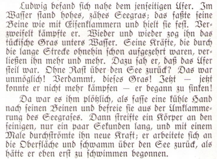 362_Niedersonthofener Nixe09paint.jpg