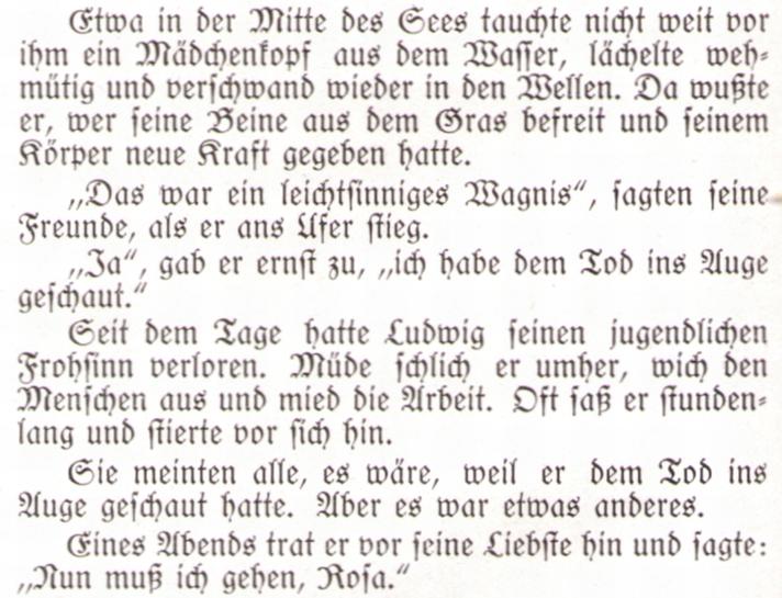 362_Niedersonthofener Nixe10paint.jpg