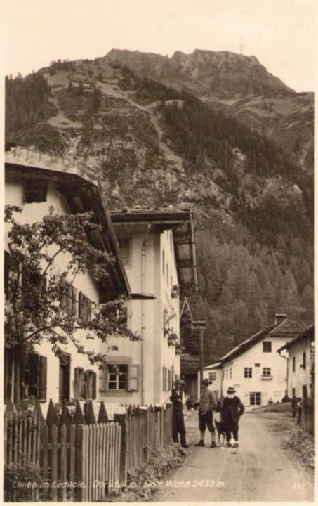 383_Elmen im Lechtalpaint.jpg