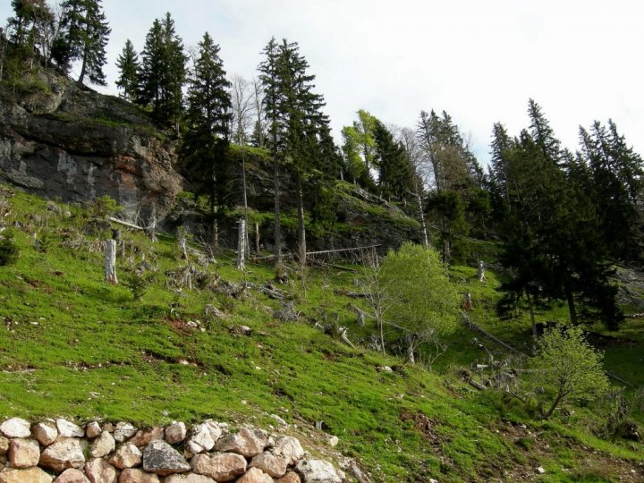 DSCN5018.jpg