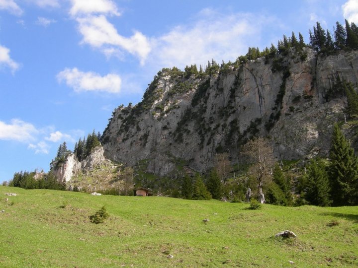 DSCN5088.jpg