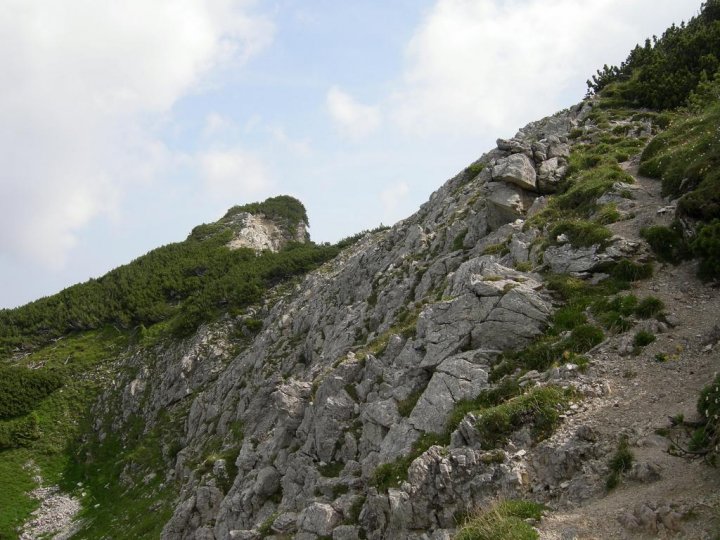 DSCN5305.JPG