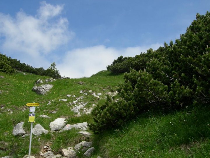 DSCN5303.JPG