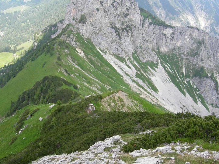 DSCN5317.JPG