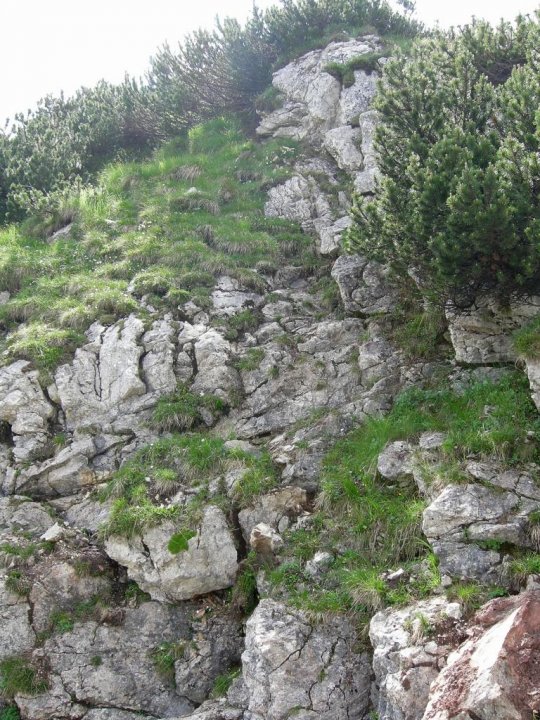 DSCN5324.JPG