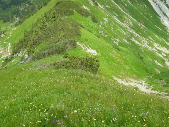 DSCN5329.JPG