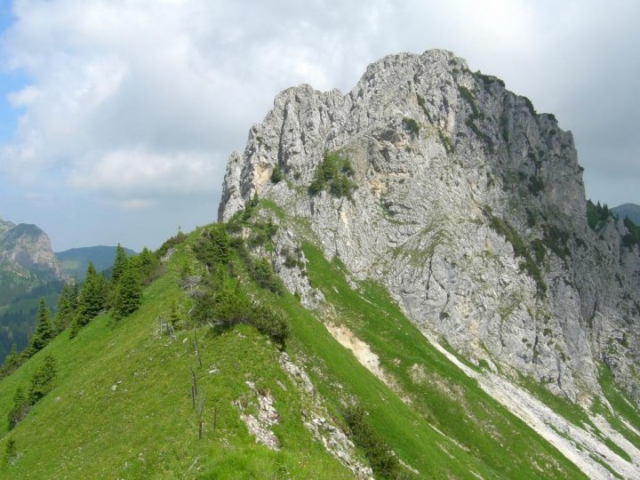 DSCN5333.JPG
