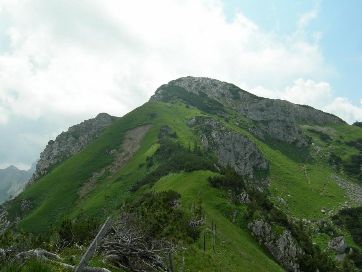 DSCN5334.JPG