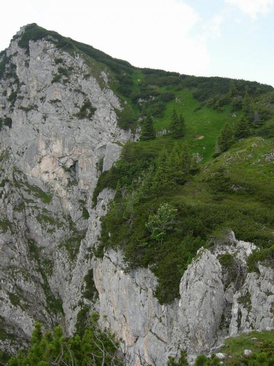 DSCN5400.JPG