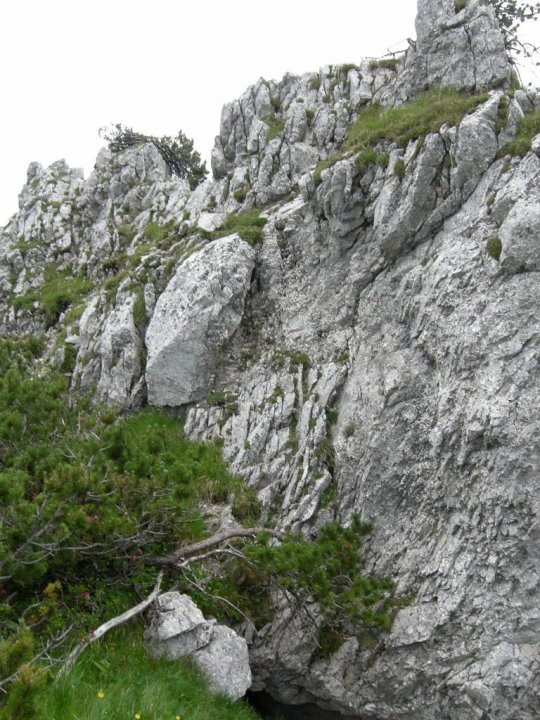 DSCN5446.JPG