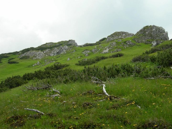 DSCN5463.JPG