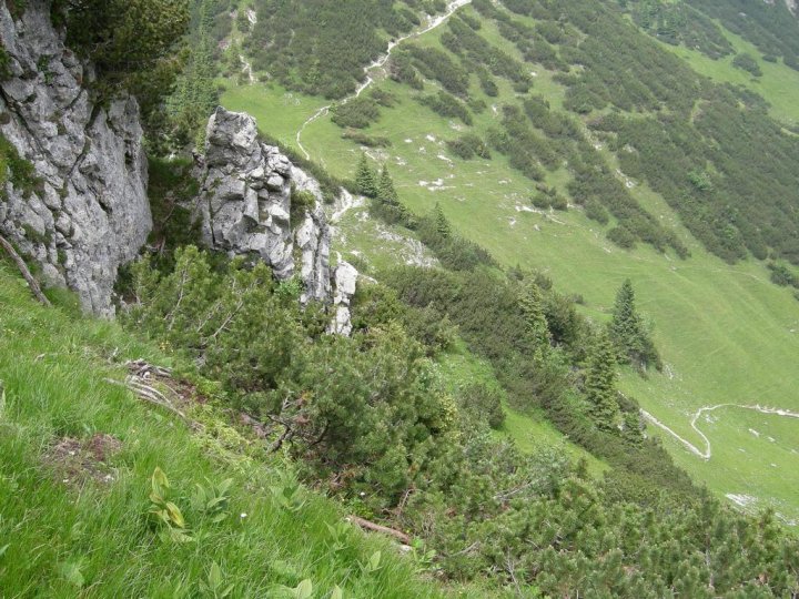 DSCN5470.JPG