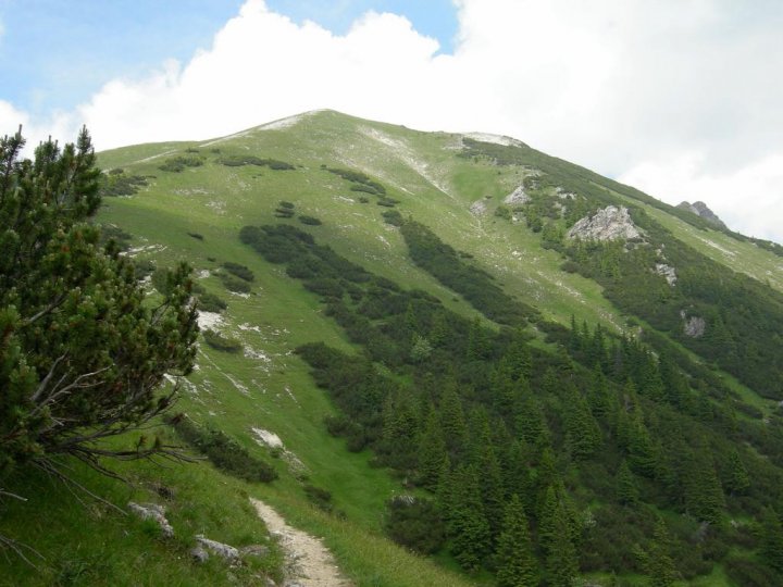 DSCN5476.JPG