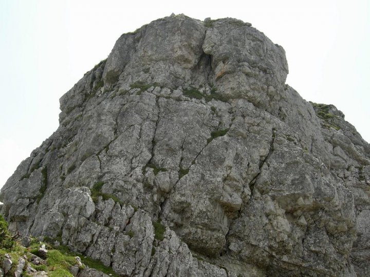DSCN5507.JPG