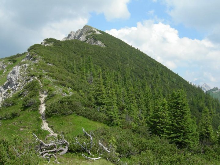 DSCN5540.JPG