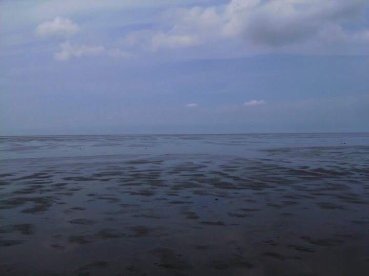 Wattenmeer bei Pilsumpaint.jpg