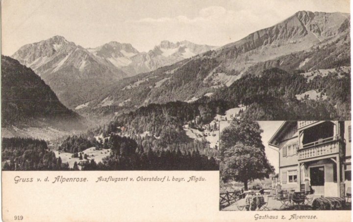 743_Alpenrose mit Fellhorn um 1900paint.jpg