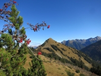 Abendspitze, Galtjoch, Steinkarspitzen, Knittelkarspitze, Wetterkreuz, Kelmerspitze