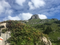 Gigglturm über Pfitzikante (VI)