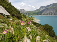 Vom Lünersee auf die Schesaplana (2.965m)