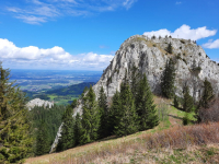 Wasserwand (1.367m), Heuberg (1.338m), Kitzstein (1.399m) und Kindlwand (1.229m)