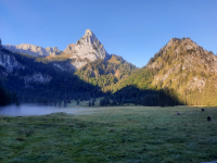 Von Halblech auf Hintertörle (1.674m), First (1.784m), Grubenkopf (1.839m) und Feigenkopf (1.868m)