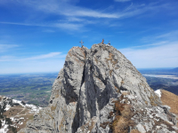 Über die Rechte Südwandplatte auf den Aggenstein (1.986m)