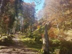 Über den Samstenbergkamm auf den Stillberg